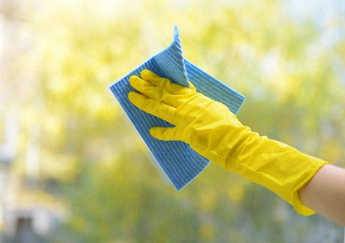 Tools needed for effective window cleaning