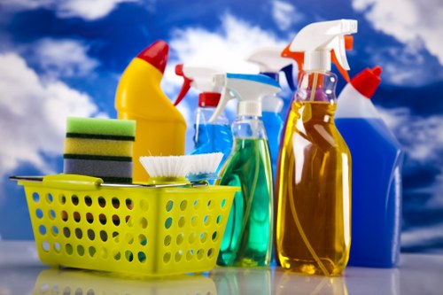 Essential aspects of one off cleaning in spring