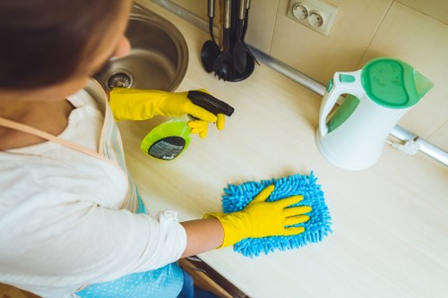 Person cleaning the oven during spring