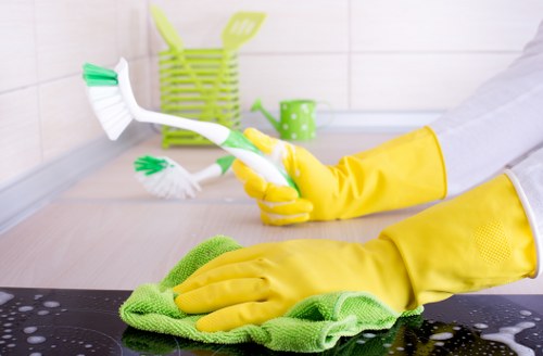 Bathroom deep cleaning process with scrubbed tiles.