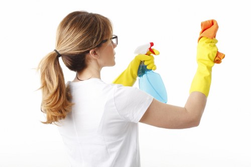 Tools and solutions used for DIY upholstery cleaning