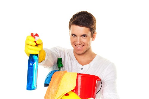 Team of cleaners organizing a home