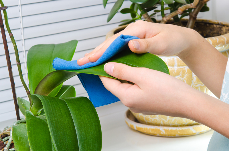 home cleaning deep cleaning